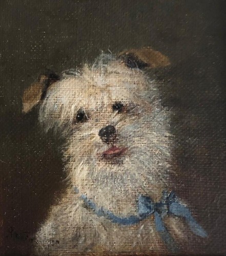 Ritratto cane un - di,