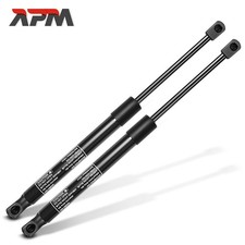 2x Molle a Gas Bagagliaio