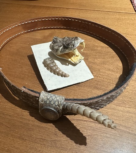 Fascia cappello pelle serpente