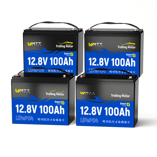 Batteria lifepo4 100ah 12v - batteria,