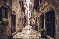 TESSUTO NON TESSUTO FOTOMURALE