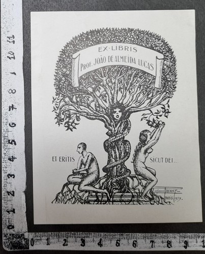 Wunderkammer exlibris - wunderkammer,