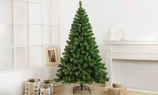 Albero di natale Nordmann