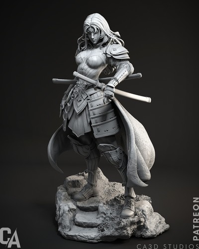 Samurai wonder woman - samurai, action