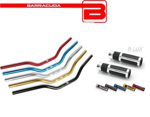 Barracuda manubrio - 22/22, +