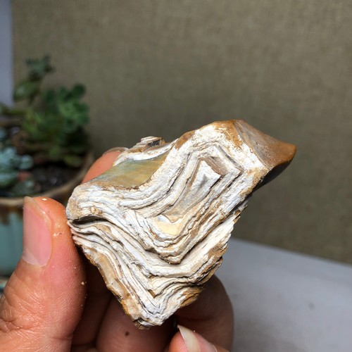 45g bonsai naturale suiseki - bonsai,