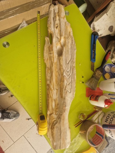 Legno fossile sui cm - legno,