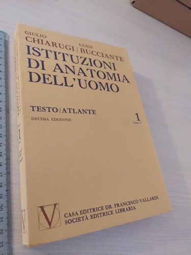 Chiarugi bucciante istituzioni - chiarugi,bucciante,