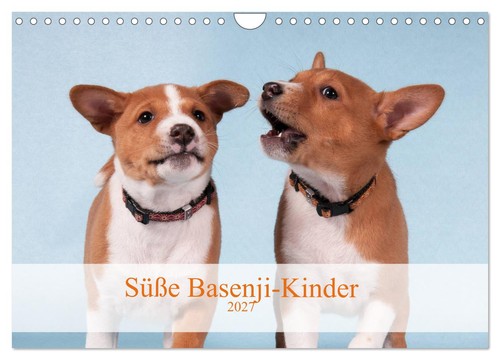 Süße basenji kinder - süße, basenji-kinder