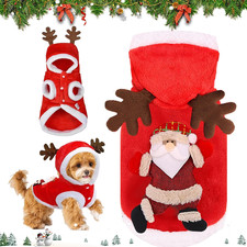 Natale Animale Domestico