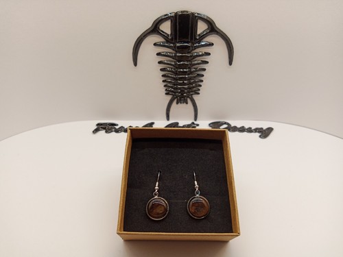 Fossil wood orecchini art - fossil, art.1ow