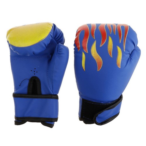Paio guantoni da boxe - da,