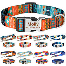 Set Collare e Guinzaglio per