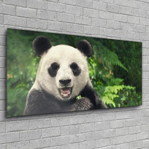 Wandbilder glasbild für - wandbilder,