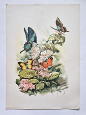 Menù Nave Transatlantico Raffaello 1974 Italia Navigazione Menu Natale Turbonave