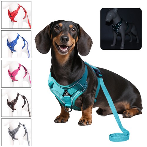 Imbrago cane regolabile - cane,