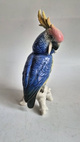 Rare karl ens - karl, perroquet