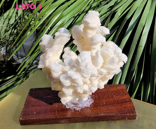 Video aragonite corallo - -,