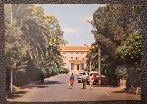 Cartolina ghilarza viale della - ghilarza,