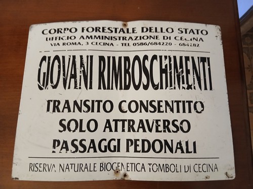 Cartello stradale insegna - cartello,