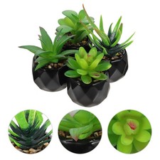  4 Pcs Oggettistica Per La Casa Arredamento Dell'appartamento Falso Succulento