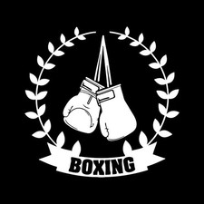 Boxer Boxe Boxe Club Palestra