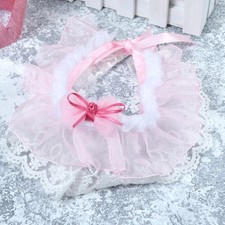  Accessori Gatti Gatto