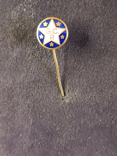 Pins pin badge - pin,