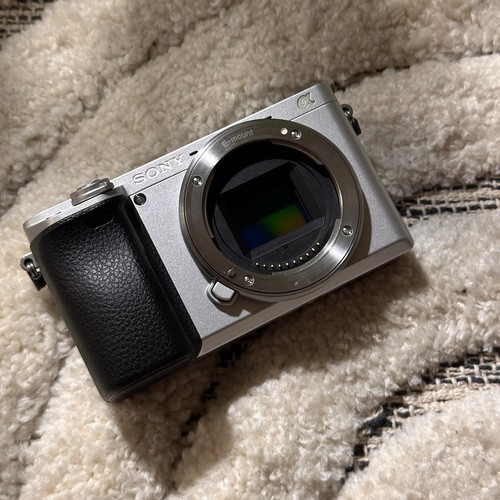 Sony a6300 silver - silver, (solo