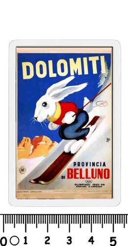 Calamita belluno sport - calamita,