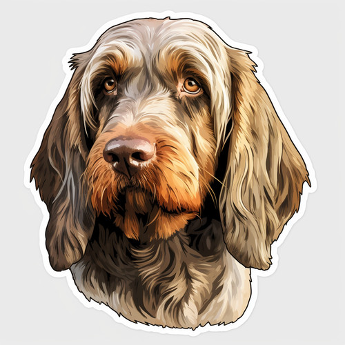 Adesivi per auto spinone - adesivi,