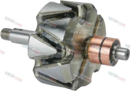 Rotore alternatore magneti - alternatore,