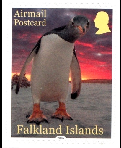 Isole falkland 2026 - falkland,