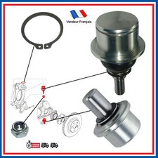 Rotule inférieure +