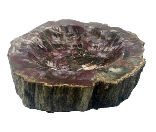 Ciotola legno fossile - legno,