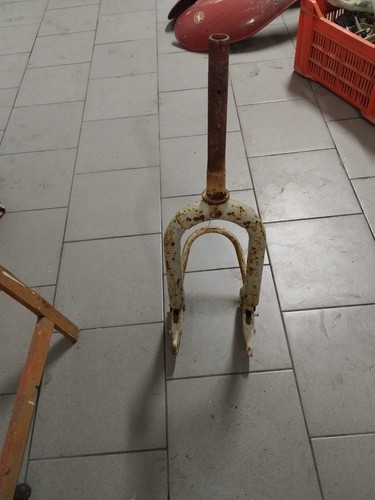 Forcella per motom - per, delfino
