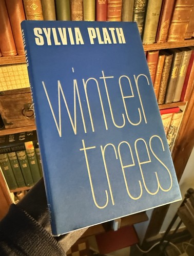 Sylvia plath winter trees - winter,