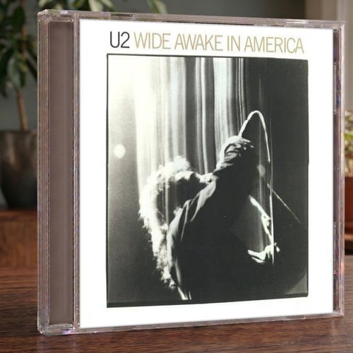 Wide awake in america - in, cd