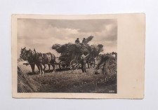 CARTOLINA CONTADINI RACCOLTA