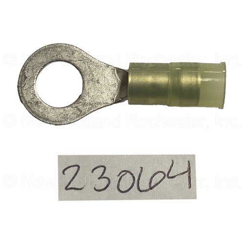 Parte terminale anello - parte,
