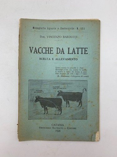 Vincenzo barducci vacche - vincenzo, barducci,