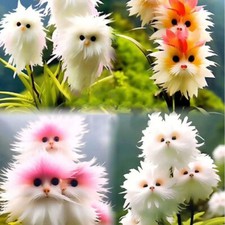 30 semi orchidea grande faccia