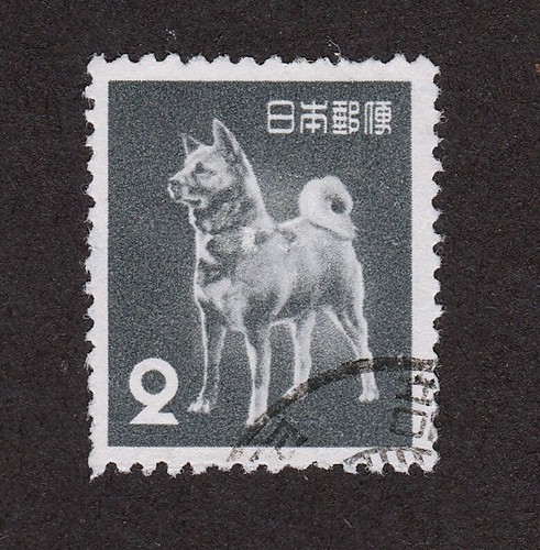 Akita inu francobollo cane - akita,
