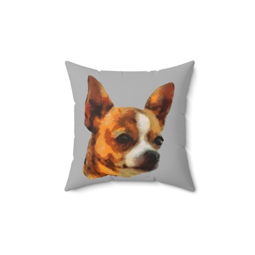 Chihuahua paco spun - chihuahua, 'paco'