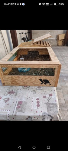 Terrario legno per - in,