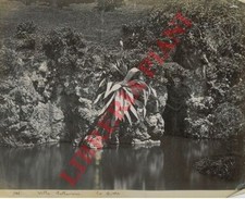 Liguria - Fotografia -