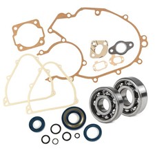 Kit Cuscinetti Albero +
