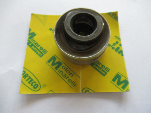 K04002 serie paraoli motore - paraoli,