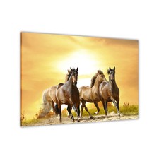 Quadro Stampa su Tela Cavalli