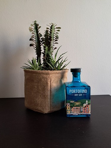 Bottiglia gin portofino - portofino,